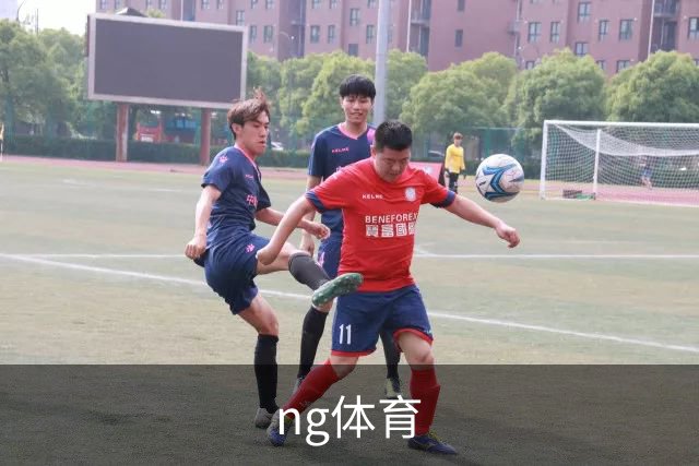 ng体育公司简介展示图